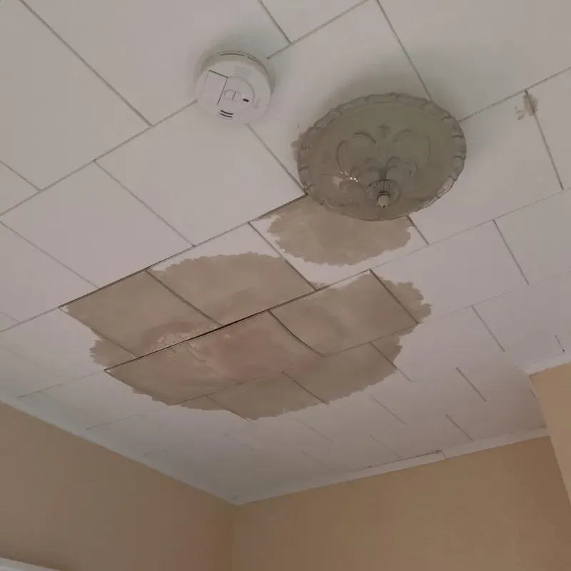 Ceiling Water Damage Repair in Haywood County, NC