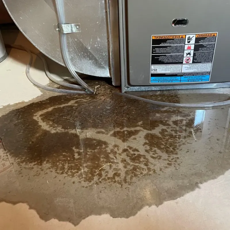 Pipe Burst and Leak Restoration in Haywood County, NC