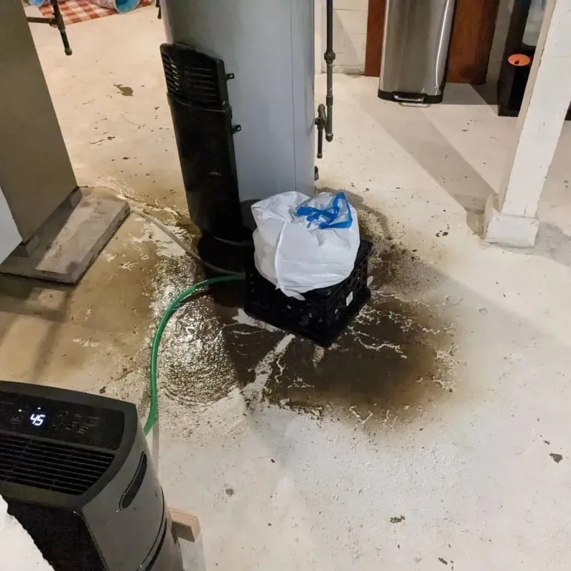 Sewage Backup Cleanup Service in Haywood County, NC